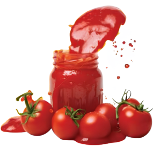 Extrato de tomate